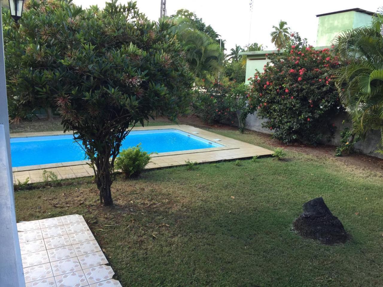 דירות לה קברה T2 Tropical En Bord De Piscine A 100M De La Mer מראה חיצוני תמונה