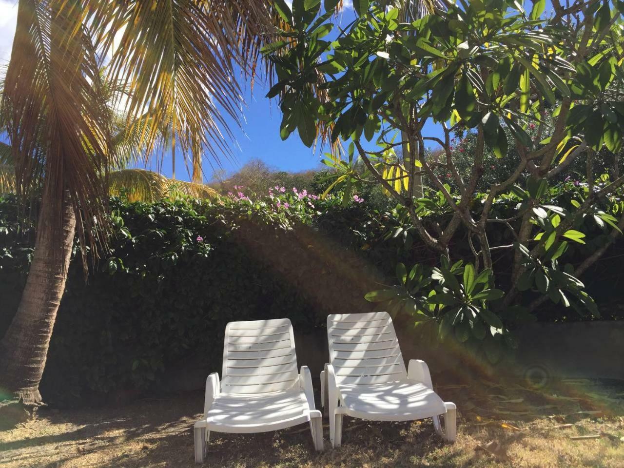 דירות לה קברה T2 Tropical En Bord De Piscine A 100M De La Mer מראה חיצוני תמונה